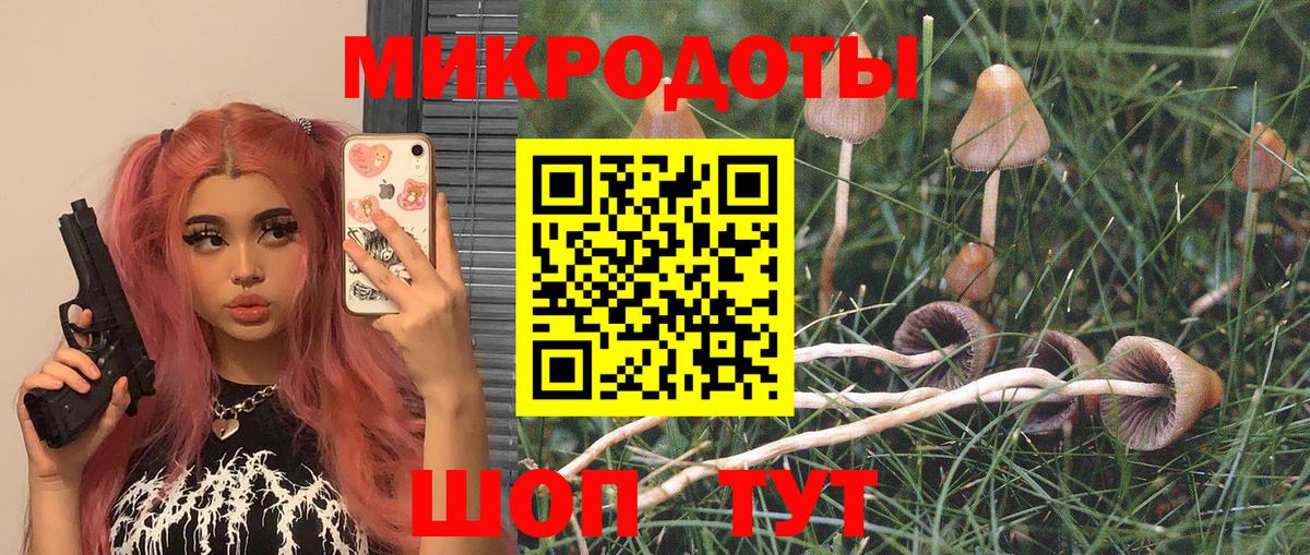Псилоцибиновые грибы GOLDEN TEACHER Майкоп