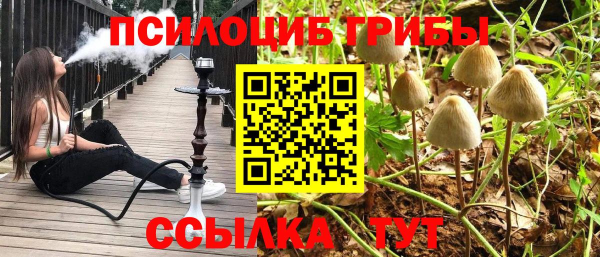 Псилоцибиновые грибы MAGIC MUSHROOMS  Вход с VPN  Майкоп 