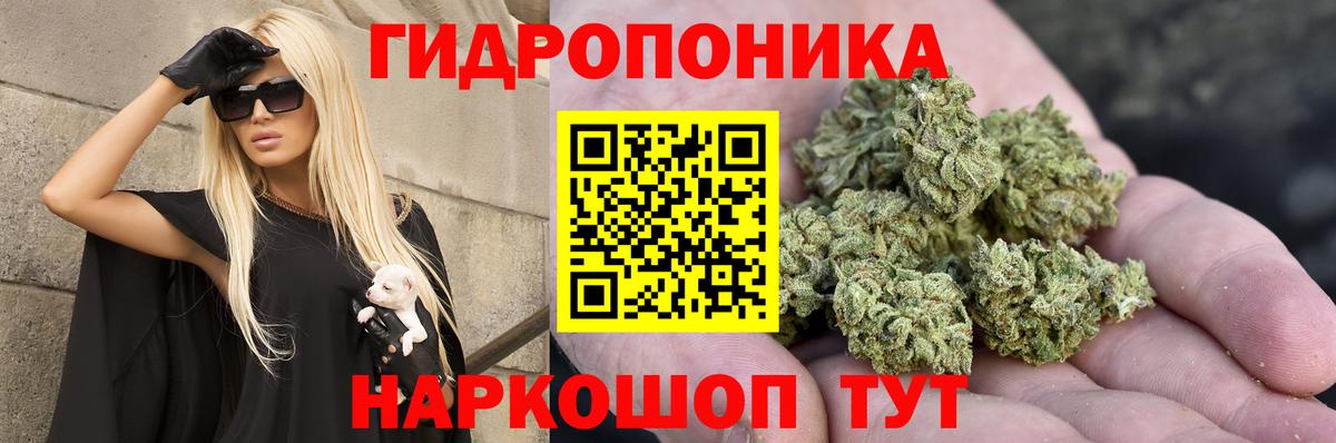 Майкоп  Канабис конопля  Канабис ГИДРОПОН  Канабис конопля  Вход с VPN 